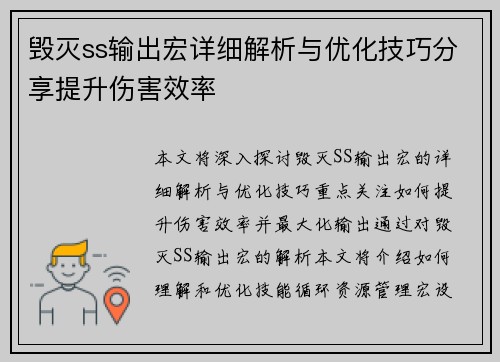 毁灭ss输出宏详细解析与优化技巧分享提升伤害效率